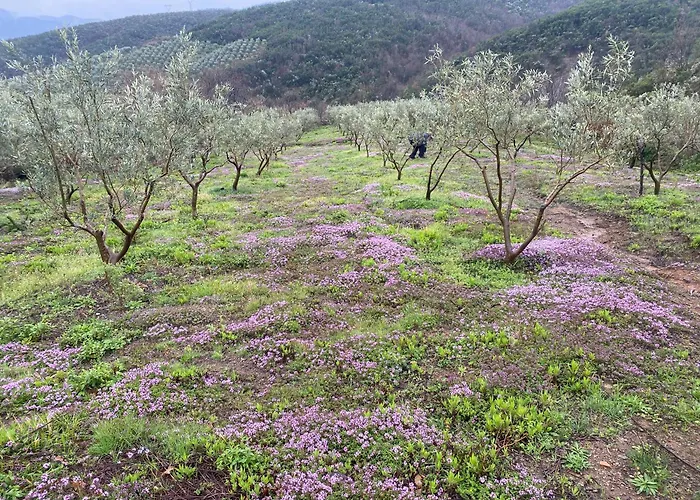 Pensjonat Lisna Deja's Ford