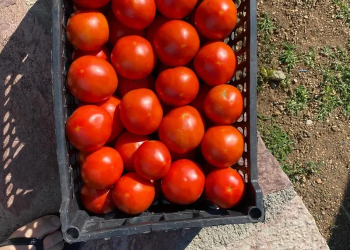 Lisna Pensjonat Deja's Ford