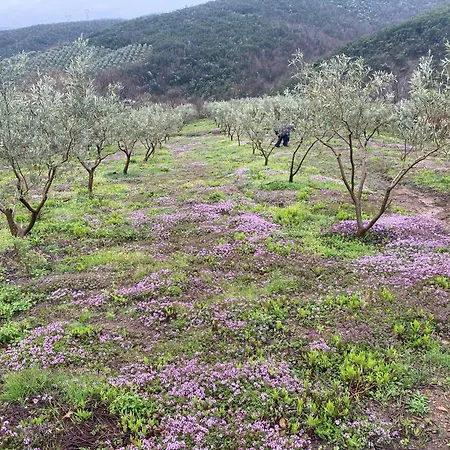 בית הארחה Lisna Deja's Ford