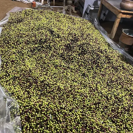 בית הארחה Lisna Deja's Ford